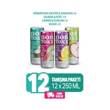 Nontoxx Tanışma Paketi 250 Ml X 3 Adet Hindistan Cevizi & Ananas Aroma, Guava &kivi Aromalı, Limon