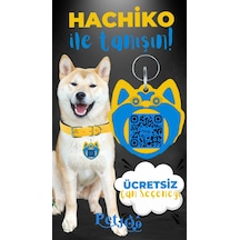 Petjoo 19.Hachiko Mavi-Sarı Qr'lı Köpek Künyesi
