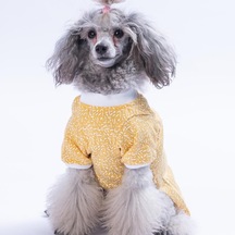 Yellow-sarı Basic Kedi Köpek Sweat- Kedi Köpek Kıyafeti