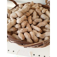 500 G