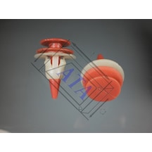 Çamurluk Bakalit Klips Isuzu 8942211500 286170641