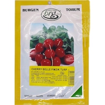 Fındık Turp 10 Gr Bt