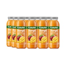 %100 Meyve Mango Dream 12x250ml