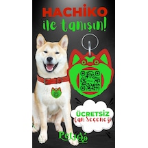 Petjoo 19.Hachiko Yeşil-Kırmızı Qr'lı Köpek Künyesi