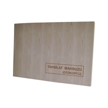 Dilman Tahsilat Makbuzu 2/50 2 N Otokopili