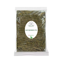 Medite Doğal Kayışkıran Otu Çayı 500 Gr