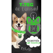 Petjoo 15.T.Teg Gri-Yeşil Qr'lı Köpek Künyesi