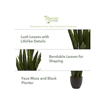 Natural, Green 4855 Sansevieria Bitki Saksısı, 88,9 Cm, Siyah -