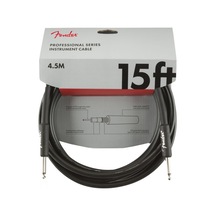 Fender Professional Inst Ss 15