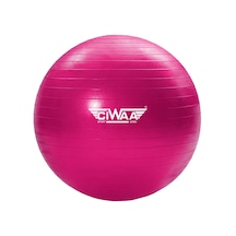 Ciwaa Cwa-2045 Pilates Topu 65 CM Pembe