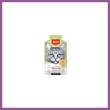 Wanpy Tavuk Etli Bal Kabaklı Ve Havuçlu Tahılsız Kedi Çorbası 50 Gr Rengaren