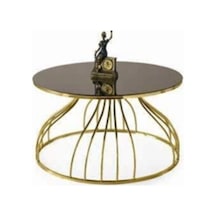 Kuğu Orta Sehpa Bronz Cam Modern Tasarım Şık Dayanıklı Salon Mobilyası Dekoratif Orta Masa Çok Renkli
