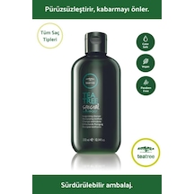Paul Mitchell Tea Tree Special Shampoo 300 ML