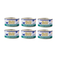Nutri Feline Okyanus Balıklı Ve Midyeli Pate Tahılsız Yetişkin Kedi Konservesi 70 G X 6 Adet