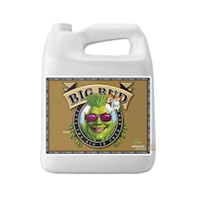 Advanced Nutrients Big Bud Coco 4 Litre