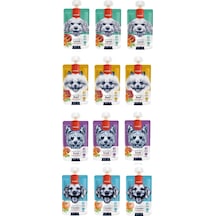 Taze Köpek Et Ezmesi 4 Çeşit Karma 90 Gr. X 12 Adet