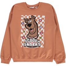Scooby Doo Erkek Çocuk Sweatshirt 10-13 Yaş Kiremit 19849161823w2