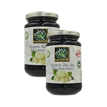 Aşıkzade Organik Dut Özü 370 Ml 480g 2'li Set