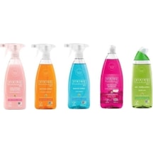Viking Premium Mutfak Banyo Çok Amaçlı Wc Temizleyici Bulaşık Deterjanı Orman Meyveleri 5 x 750 ML
