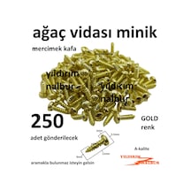 Mercimek Başlı Ağaç Vidası 250 Adet Mini Sarı Altın Renk Hobi Vid
