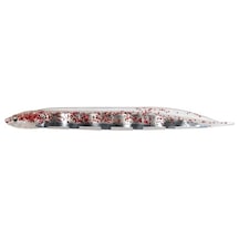 Flash-j Shirasu Sw 3" 5 Adet/paket 125 Clear Red Glitter/silver Olta