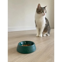 Pati Desen Model Beton Kedi Köpek Mama Ve Su Kabı 13 Cm Çap X 4 Cm - Yeşil