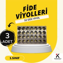 32 Lik Göz
