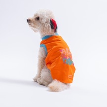 Orange-turuncu All Good Days Kedi Köpek Tişörtü-kedi Köpek Kıyafeti