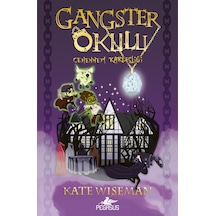 Gangster Okulu: Cehennem Kardeşliği Gangster Okulu 2. Kitap Kate Wiseman