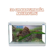 Ada Akvaryum Su Kaplumbağası Akvaryumu Bahçeli Rampalı Dinlenme 30x23x15 Cm Arka Plan Hediyeli
