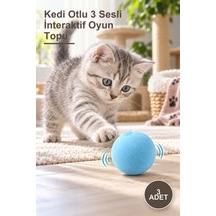 3 Adet Kedi Otlu 3 Sesli İnteraktif Oyun Topu
