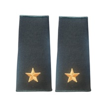 Çok Renkli