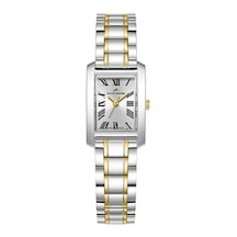 Roche Montre Rml3004-04 Kadın Kol Saati Metalik Gri