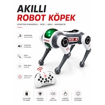 Aı Ses Kontrollü Akıllı Akrobatik Robot Köpek Uzaktan Kumanda Ve Saat Kontrollü Eğlenceli Oyuncak