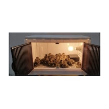 Ekonomik Boy Mini Anakucağı 50 30 30 Cm Yaklaşık 20-30 Kapasiteli