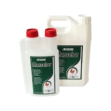 Masselor 1 Lt Kanatlılarda