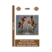 Çok Renkli