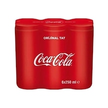 Coca Cola Kutu 6 250 Ml