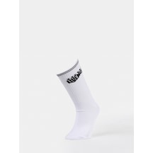Colin's Colins Erkek Beyaz Çorap Cl1073716 Cl1073716 Q1.v1 Wht Beyaz