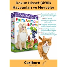 Özel Üretim Görsel Algı Eğlenceli Öğrenme Eğlenceli Dokun Hisset Çiftlik Hayvanları Ve Meyveler