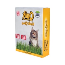 Gerçek Topraklı Kedi Çimi
