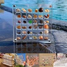 Akrilik Manyetik Deniz Kabuğu Gösterim Kutusu, Izgara Şeffaf Akrilik Deniz Kabuğu, F