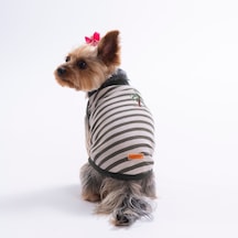 Palm Embroline Tişört Kedi Köpek Tişörtü-kedi Köpek Kıyafeti