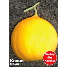 AGRodal Tarım Ata Tohumu Yerli Kavun Sarıbey 100 Adet Tohum