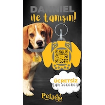 Petjoo 21.Danniel Sarı-Gri Qr'lı Köpek Künyesi