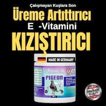 Feroxit Güvercinler İçin Üreme Destek & Kızıştırıcı Ve E-vitamin 20 G