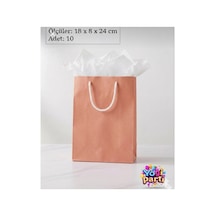 Lüks Karton Pembe Hediye Çantası 10 Adet Ürün Ölçüleri 18 X 8 X 24 Cm Pembe Tüm Yaşlar