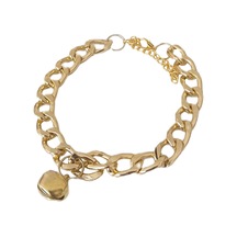Markapet Kedi Ve Köpek Lüx Zincir Kolye 25-30 Cm Medium Gold