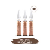 Skin Accents Kök Hücre Ampul Alman Serum Dermaroller Dermapen Cilt Bakım Serumu 3 x 2 ML