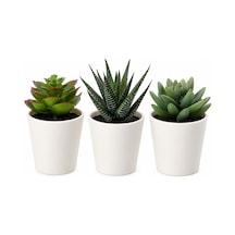 Ikea Fejka Yapay Saksı Bitkisi Saksılı İç Mekan Dış Mekan Etli / 3'lü Paket Boyutu 2 ¼ " 3'lü Paket 203.953.31 Çok Renkli